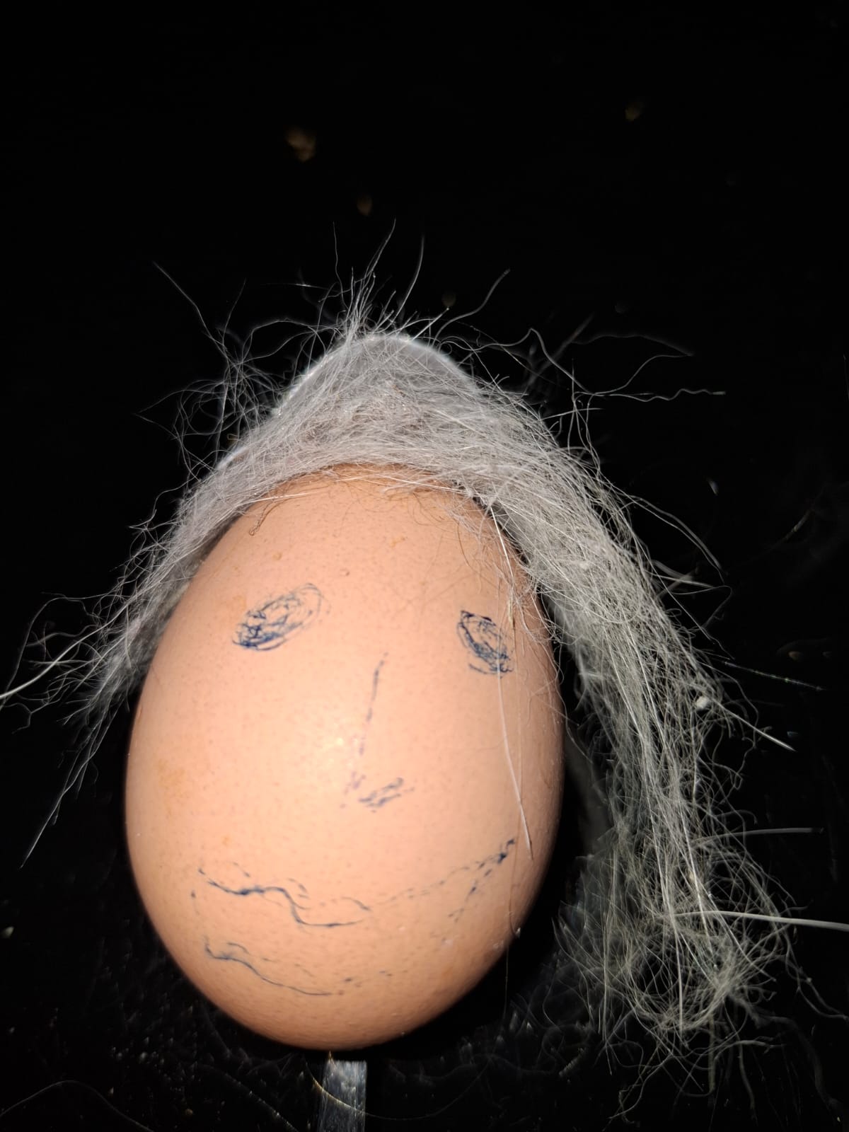 Bild von Tralla Ostern